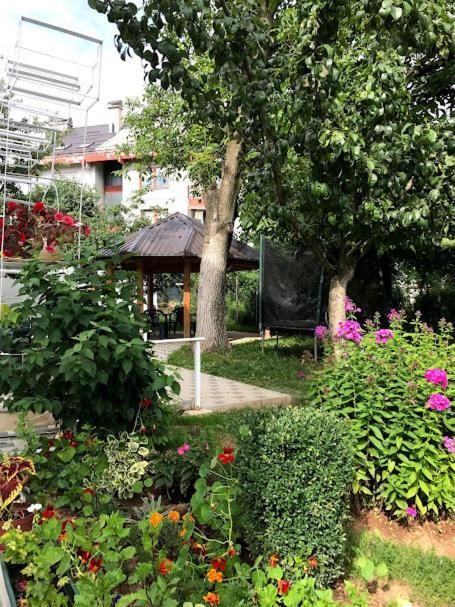 Ng Natural Garden Sarajevo