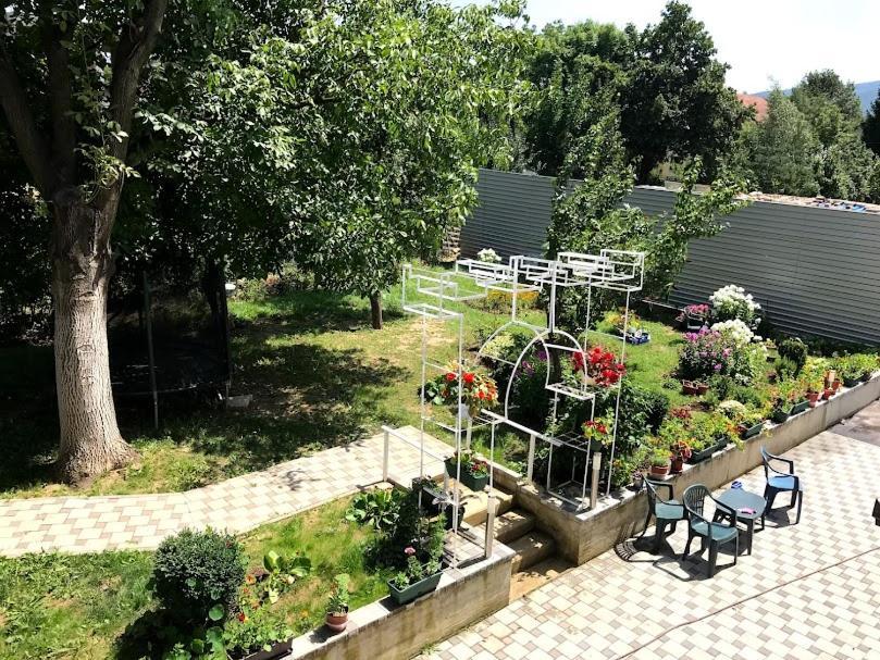 Ng Natural Garden