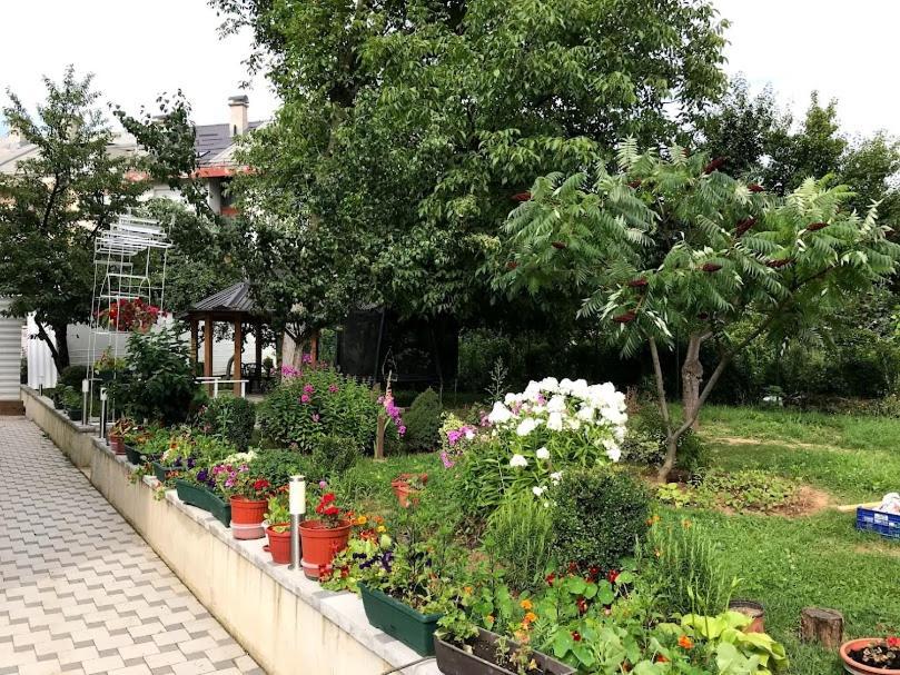 Ng Natural Garden