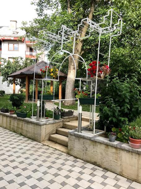 Ng Natural Garden